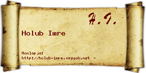 Holub Imre névjegykártya
